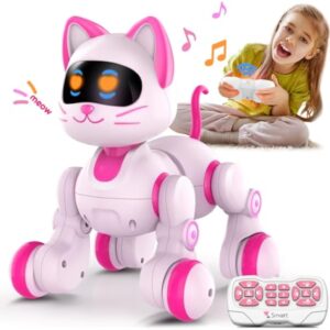 Kids Educational Rechargeable Electric Dancing Interactive Programable Intelligent Remote Control Robot Cat
