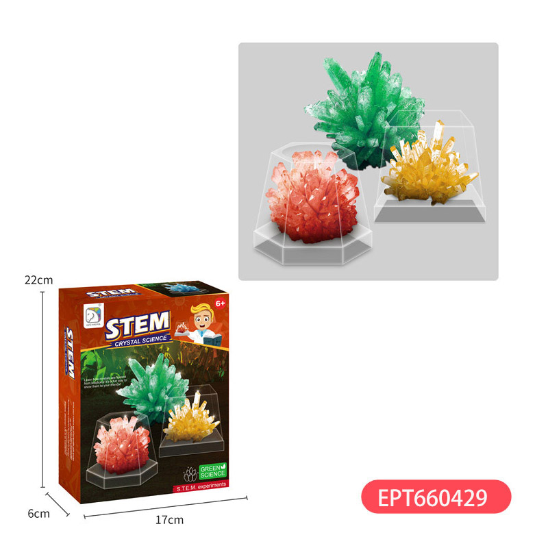 Plant Ecological Meteorological Station Stem Weather Toy Educational Kid Creative Experiments Green Science Toys - Bild 4