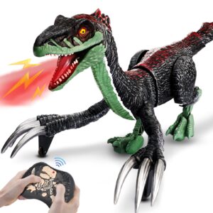 Fernbedienung Dinosaurier Spielzeug Kinder Körper Schaukel Licht Sound Kunststoff Elektronik Spray Dinosaurier