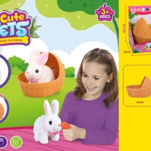 Stuffed Animals