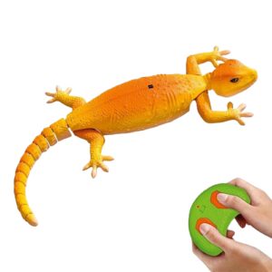Wall Crawler Gecko